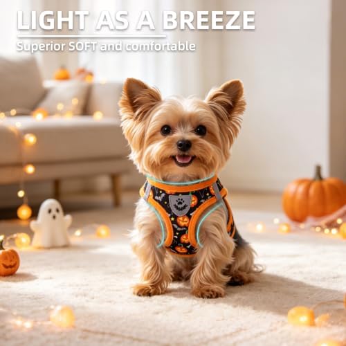 PUPTECK Halloween Dog Harness, Collar and Leash Set No Pull for Small Sized - Image 3