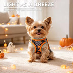 PUPTECK Halloween Dog Harness, Collar and Leash Set No Pull for Small Sized - Image 3
