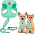 PUPTECK Adjustable Dog Harness Collar and Leash Set Step in No Pull Pet Harness for Small Medium Dogs Puppy and Cats Outdoor Walking Running, Soft Mesh Padded Reflective Vest Harnesses, Solid Green XS by PUPTECK