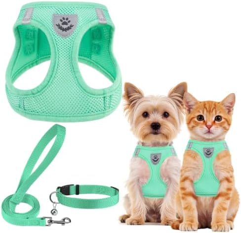 PUPTECK Adjustable Dog Harness Collar and Leash Set Step in No Pull Pet Harness for Small Medium Dogs Puppy and Cats Outdoor Walking Running, Soft Mesh Padded Reflective Vest Harnesses, Solid Green XS by PUPTECK