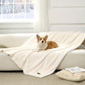 COZY KISS Waterproof Pet Blanket for Large Dog & Cat, 40x60 inch Cream by COZYKISS
