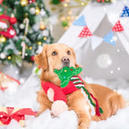 PUPTECK Christmas Dog Squeaky Chew Toys 3 Pack - Image 6