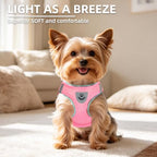 PUPTECK Dog Harness, Collar and Leash Set No Pull for Small Medium Sized - Image 2