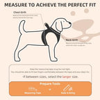 PUPTECK Dog Harness, Collar and Leash Set No Pull for Small Medium Sized - Image 2