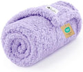 Luciphia Ultra Soft Sherpa Fleece Dog Puppy Cat Blanket for Small Pets by luciphia