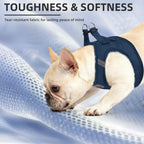PUPTECK Dog Harness, Collar and Leash Set No Pull for Small Medium Sized - Image 6