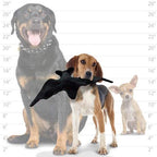 TUFFY® 2 Pack Alien and Bat Ultra Durable Plush Dog Toys | Multiple Layers & Reinforced Seams, Washable and Floats, Original Construction