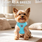 PUPTECK Dog Harness, Collar and Leash Set No Pull for Small Medium Sized - Image 3