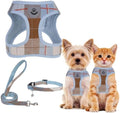PUPTECK Dog Harness, Collar and Leash Set No Pull for Small Medium Sized by PUPTECK