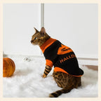 PUMYPOREITY Halloween Cat Sweater for Cats Only, Pumpkin Ghost Knit Sweater - Image 4