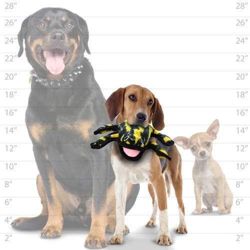 TUFFY® : 2 Pack Phrog Dog Toy: Ultra Durable Plush Toy with Multiple Layers & Reinforced Seams, Washable and Floats, Original Construction