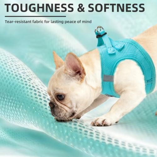 PUPTECK Dog Harness, Collar and Leash Set No Pull for Small Medium Sized - Image 6