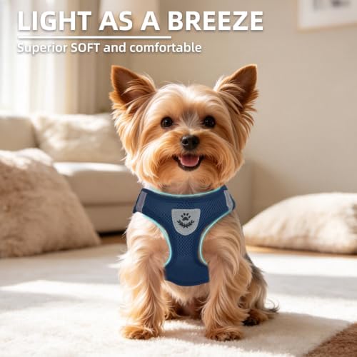PUPTECK Dog Harness, Collar and Leash Set No Pull for Small Medium Sized - Image 3