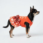 Fitwarm Thanksgiving Sweeter Than Pumpkin Pie Dog Dress 100% Cotton Puppy Costumes Pet Clothes Holiday Girl One-Piece Doggy Outfits Tank Top Vest Dresses Cat Apparel Orange Large - Image 4