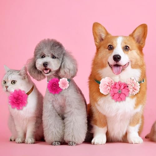 Hoteam 50 Pcs Dog Collar Flowers Bows Accessories, Pink, Rose Red - Image 3