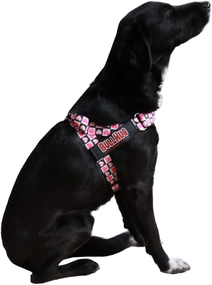 BULLHUG Adjustable Dog Harness– No Pull, No Choke – for English Bulldogs, French Bulldogs, Pugs & Broad-Chested Breeds – Easy, Safe Walks (Check, Small)