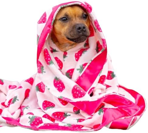 Darren & Phillip Cutie Frutti Strawberry Blanket - Ultra-Soft Blankets Made with Plush Fleece - Perfect as a Dog Bed Blanket or for Cuddling with Your Pup - Ultra-Snuggly Blankets for Dogs & Humans by DarrenPhillip
