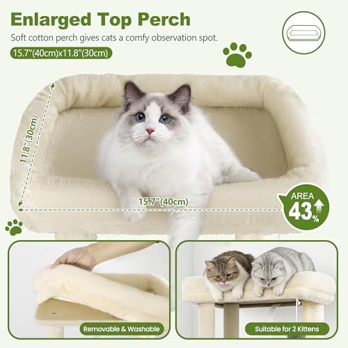 Small Cat Tree Tower for Indoor Cats, 40 in Medium Cat Bed Scratching Posts - Image 2