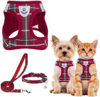 PUPTECK Dog Harness, Collar and Leash Set No Pull for Small Medium Sized by PUPTECK