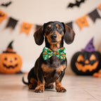 Halloween Dog Bow Ties Bulk for Small Dogs 30 Pack 3.9"*2.1" S - Image 5