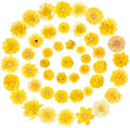 Hoteam 50 Pcs Dog Collar Flowers Bows Accessories, Yellow by Hoteam