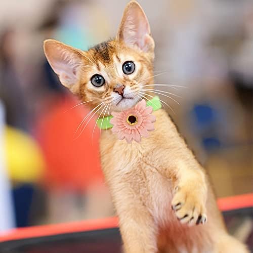 PET SHOW 50pcs Pack Dog Collar Flowers and Bows Random Assortment Blind Bag for Boy Girl Small Medium Large Dogs Cats Rabbits Flowers Slide on Collars Harness Costume Grooming Accessories Male Female - Image 6
