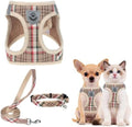 PUPTECK Dog Harness, Collar and Leash Set No Pull for Small Medium Sized by PUPTECK