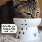 Necoichi Ceramic Elevated Cat Food Bowl, Whisker-Friendly (Cats, Regular)