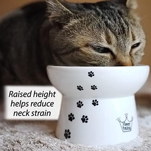 Necoichi Ceramic Elevated Cat Food Bowl, Whisker-Friendly (Cats, Regular)