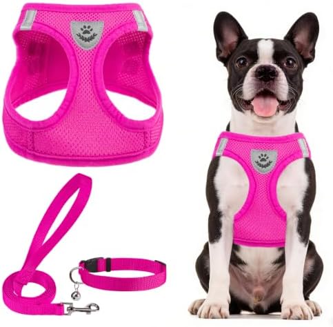 PUPTECK Dog Harness, Collar and Leash Set No Pull for Small Medium Sized by PUPTECK
