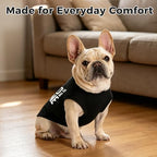 BINGPET Bad to The Bone Dog Shirt, Soft Cotton T-Shirt, Halloween Costumes - Image 6
