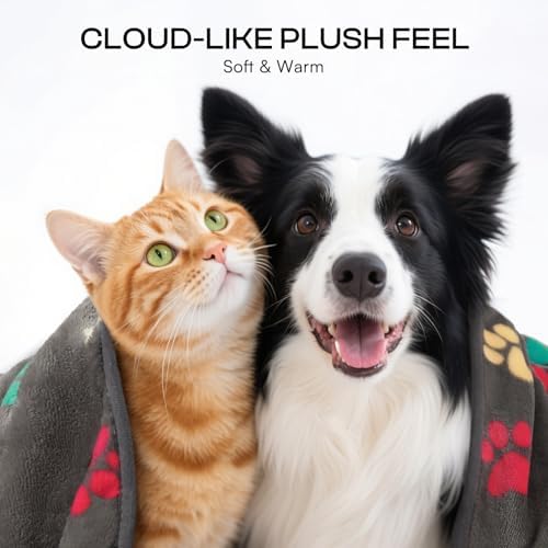 Luciphia 1 Pack 6 Dog Blankets Cat Soft Fluffy Fleece Pet Blanket Warm Cute Print Design Puppy Kitten Doggy Bone Large(41"x31") - Image 2