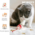 Christmas Catnip Mouse Toys for Cats,5 Pack Plush Mice Toys for Indoor Cats - Image 3