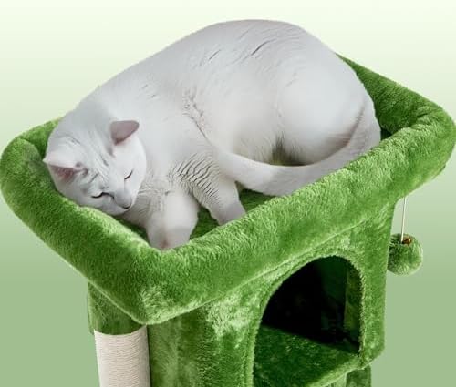 Yaheetech 23.5in Small Low-Profile Cat Tree Condo with Scratching Posts - Image 5