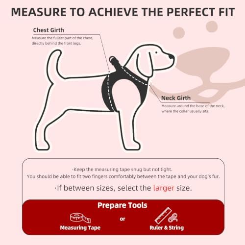 PUPTECK Dog Harness, Collar and Leash Set No Pull for Small Medium Sized - Image 2