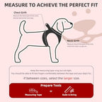 PUPTECK Dog Harness, Collar and Leash Set No Pull for Small Medium Sized - Image 2