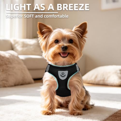 PUPTECK Dog Harness, Collar and Leash Set No Pull for Small Medium Sized - Image 3