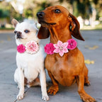 Hoteam 50 Pcs Dog Collar Flowers Bows Accessories, Pink, Rose Red - Image 5