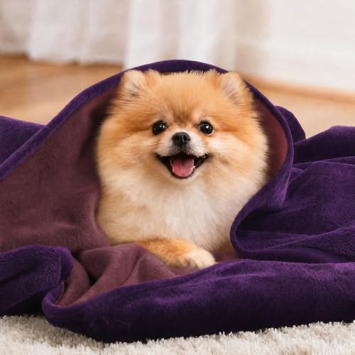LOOBANI Waterproof Dog Blanket for Small Dogs, Pet Blanket 30" x 40" Purple - Image 5