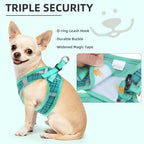 PUPTECK Dog Harness, Collar and Leash Set No Pull for Small Medium Sized - Image 5