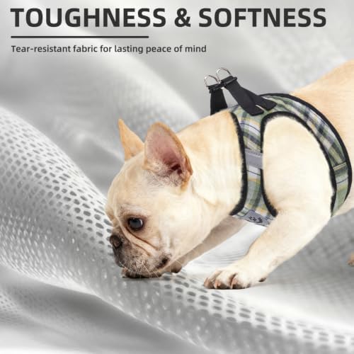PUPTECK Dog Harness, Collar and Leash Set No Pull for Small Medium Sized - Image 6