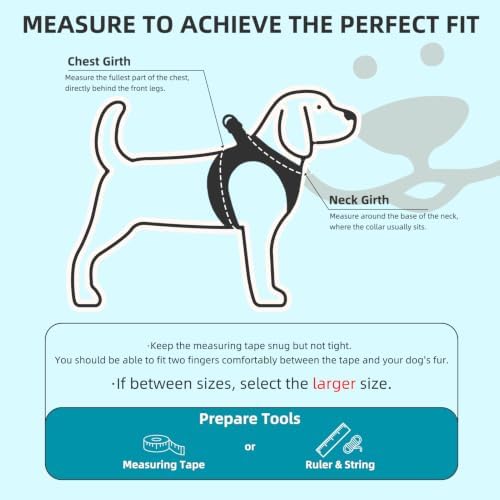 PUPTECK Dog Harness, Collar and Leash Set No Pull for Small Medium Sized - Image 2
