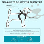 PUPTECK Dog Harness, Collar and Leash Set No Pull for Small Medium Sized - Image 2