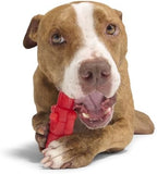 BarkBox The Gnawtcracker Super Chewer - Toy for Large Dogs - Image 5