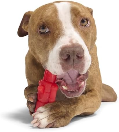BarkBox The Gnawtcracker Super Chewer - Toy for Large Dogs - Image 5