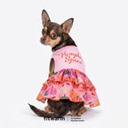Fitwarm Pumpkin Spice Dog Dress, Thanksgiving Outfit for Small Dogs Girl, Festive Pet Clothes, Pink, Large - Image 2