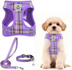 PUPTECK Dog Harness, Collar and Leash Set No Pull for Small Medium Sized by PUPTECK