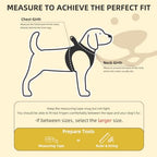 PUPTECK Dog Harness, Collar and Leash Set No Pull for Small Medium Sized - Image 2