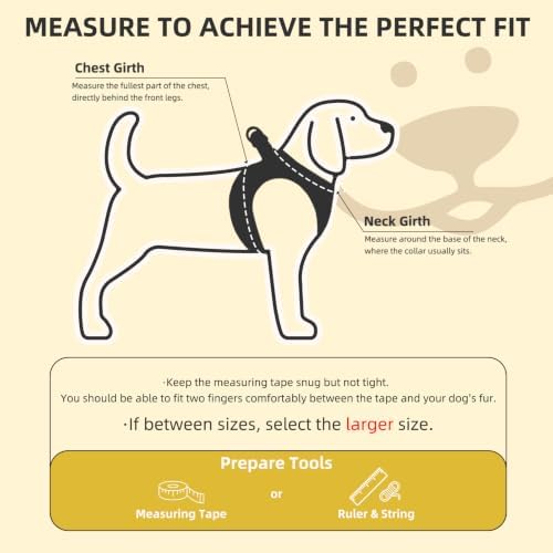 PUPTECK Dog Harness, Collar and Leash Set No Pull for Small Medium Sized - Image 2