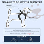 PUPTECK Dog Harness, Collar and Leash Set No Pull for Small Medium Sized - Image 2